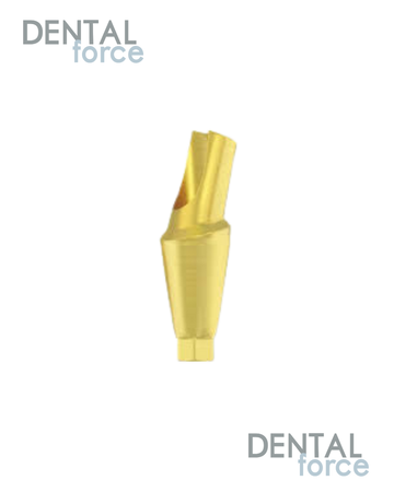 Anatomic Abutment